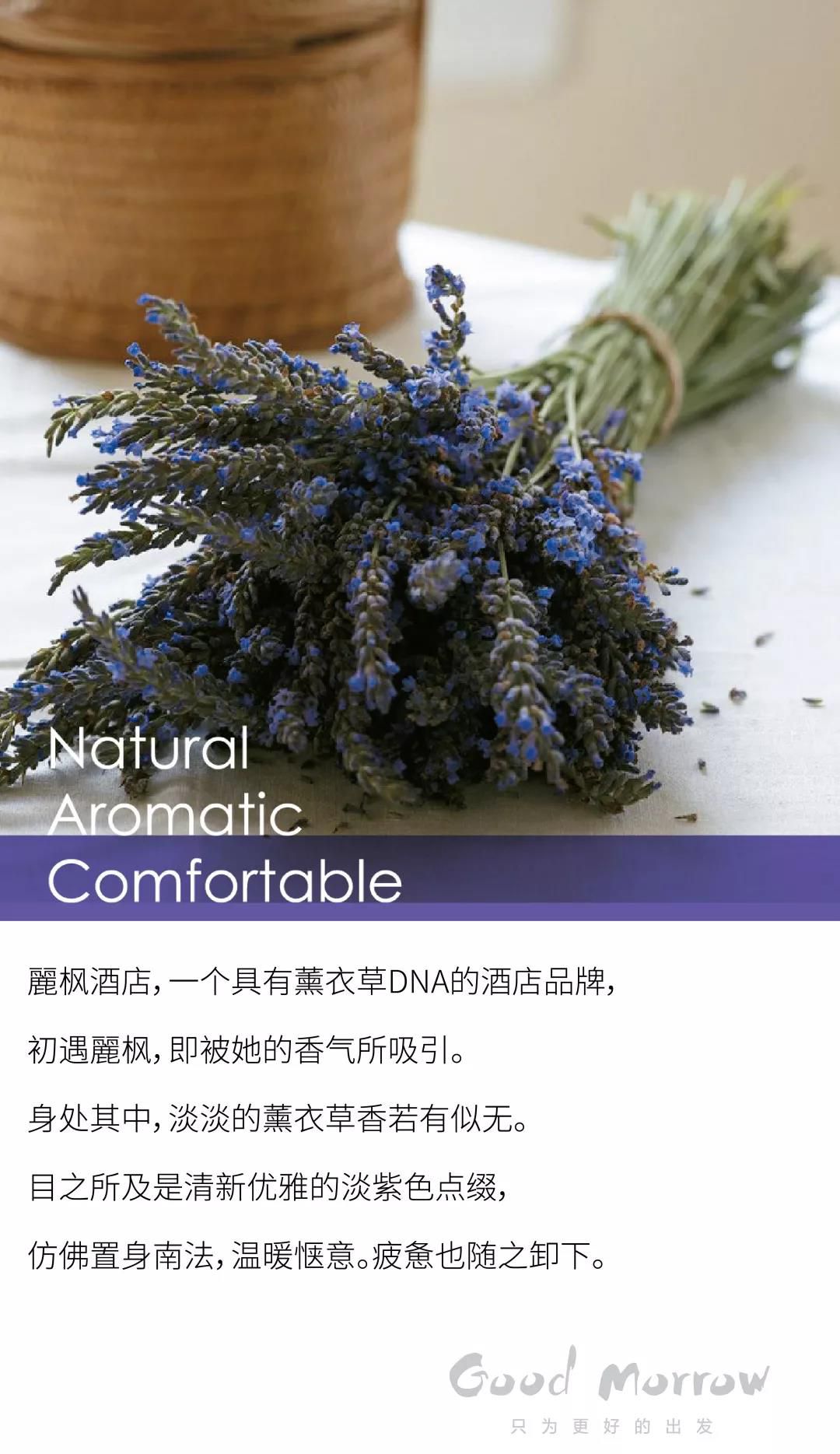 香港免费资料大全